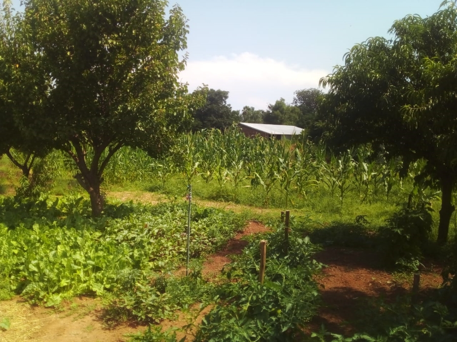 2 Bedroom Property for Sale in Christiana North West